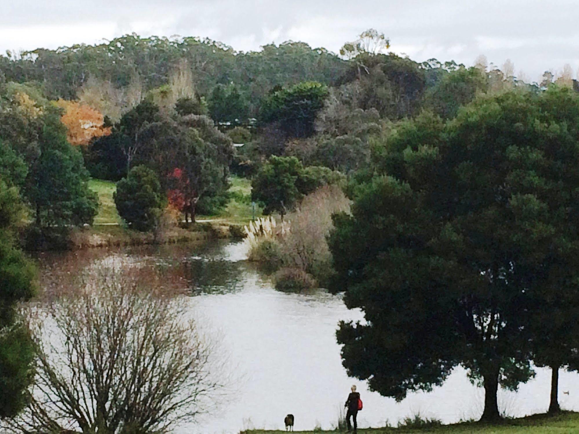 Daylesford By The Lake Cute&Cosy Studio Hotel Luaran gambar